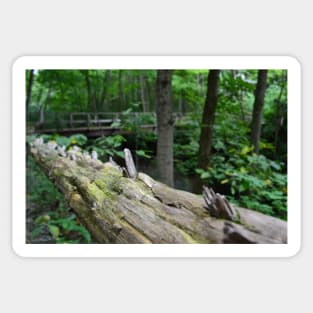 Split Rail Fence Sticker